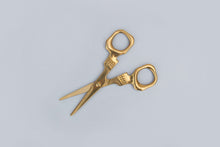 Load image into Gallery viewer, Heavy Duty Dead Sharp Skull Scissors for Embroidery Crafting
